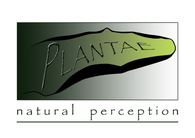 PLANTAE - natural perception